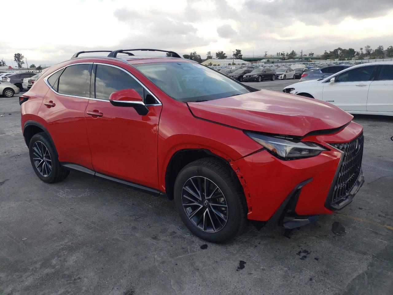 2024 LEXUS NX 250 BASE VIN:2T2ADCAZ8RC013052