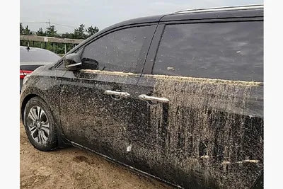 2019 Kia Carnival KNAMB81ABKS567289 VIN:KNAMB81ABKS567289