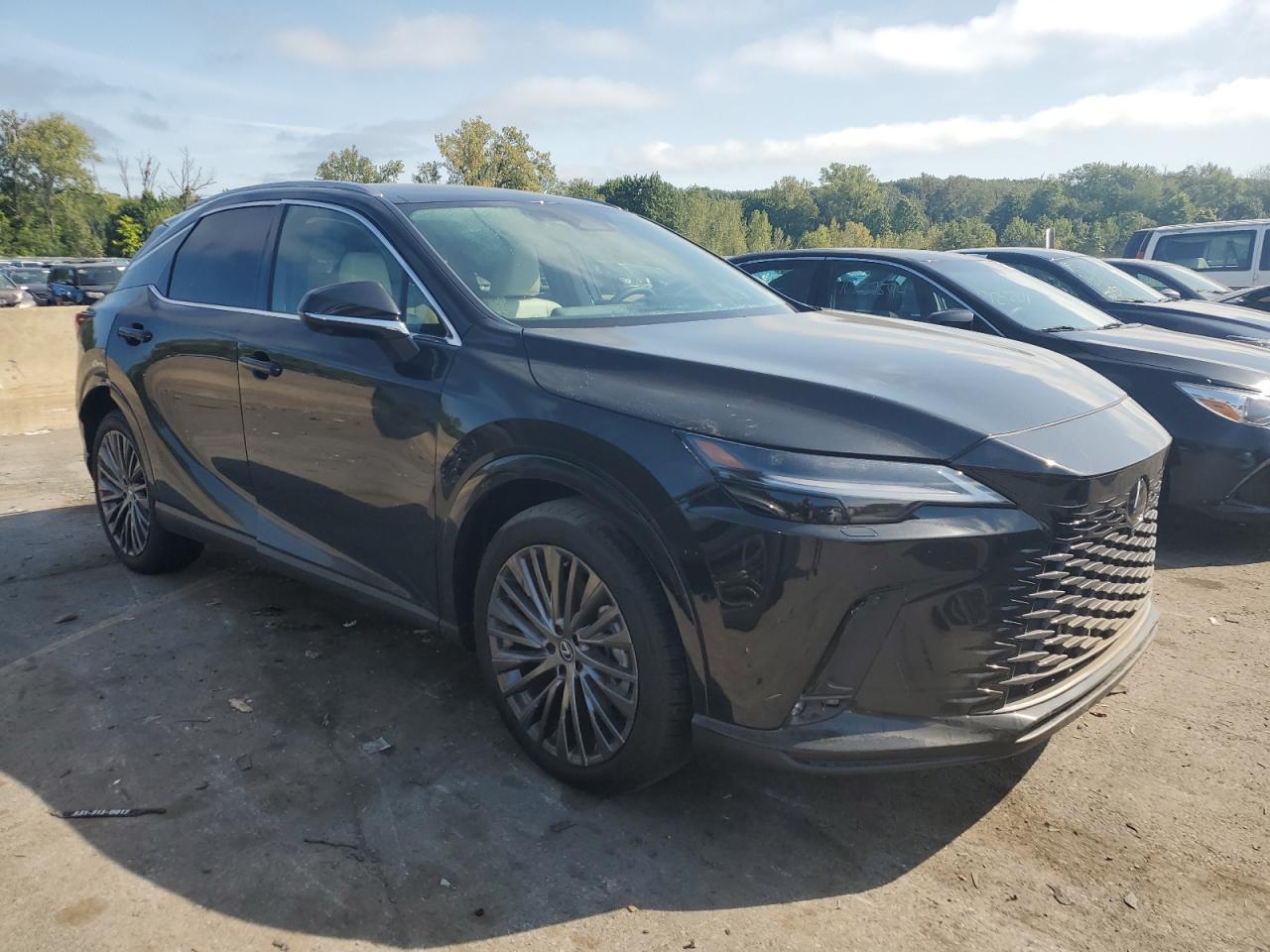2023 LEXUS RX 350 BASE VIN:2T2BAMCA5PC037185