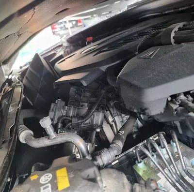 2019 BMW 320 WBA5V5107KFH20219 VIN:WBA5V5107KFH20219