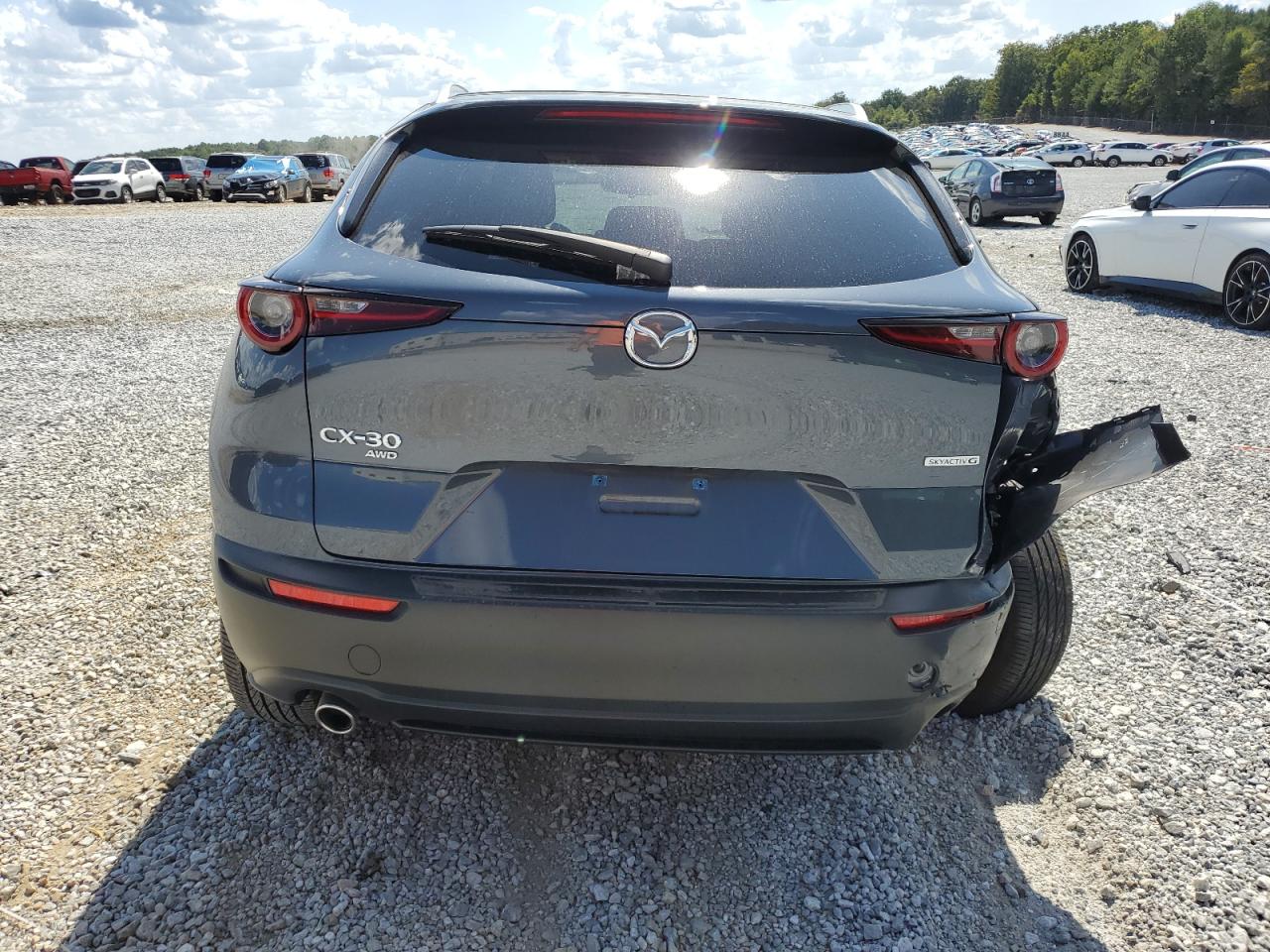 2023 MAZDA CX-30 PREFERRED VIN:3MVDMBCM1PM541502