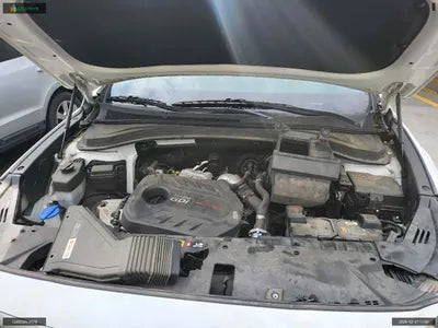 2019 Hyundai Santa FE KMHS381ABKU141821 VIN:KMHS381ABKU141821