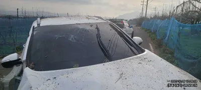 2017 Kia Sorento 339KMKNAPH81ABHA3 VIN:339KMKNAPH81ABHA3