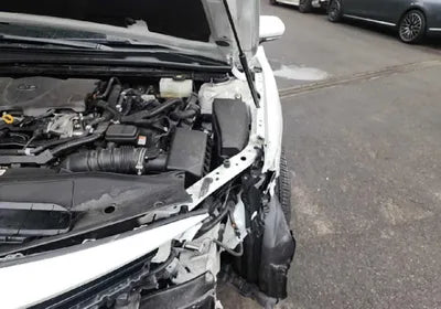 2019 Toyota Camry JTNB21HK8K3043500 VIN:JTNB21HK8K3043500