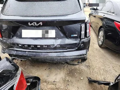 2022 Kia Sorento KNARH81GBNA101047 VIN:KNARH81GBNA101047