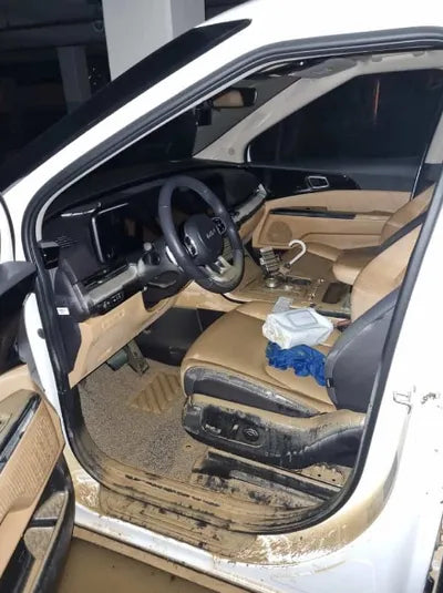 2022 Kia Carnival KNANE81BBPS230361 VIN:KNANE81BBPS230361