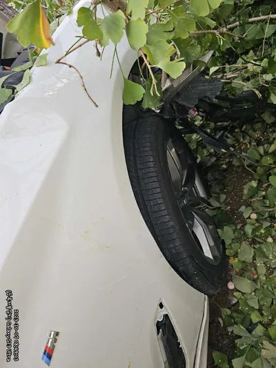 2018 BMW 520 354KMWBAJC3102JDB VIN:354KMWBAJC3102JDB