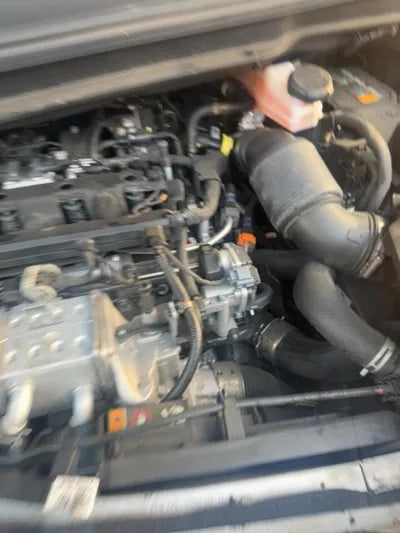 2020 Kia Carnival KNAMB81ABLS648113 VIN:KNAMB81ABLS648113