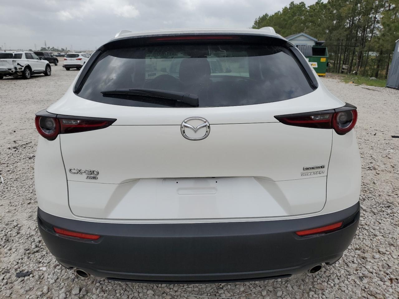 2023 MAZDA CX-30 PREFERRED VIN:3MVDMBCM1PM533545
