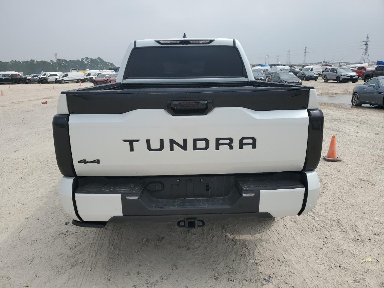 2024 TOYOTA TUNDRA CREWMAX PLATINUM VIN:5TFNA5DBXRX232119