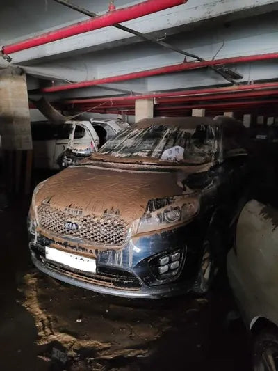 2017 Kia Sorento 386KMKNAPH81ABHA3 VIN:386KMKNAPH81ABHA3