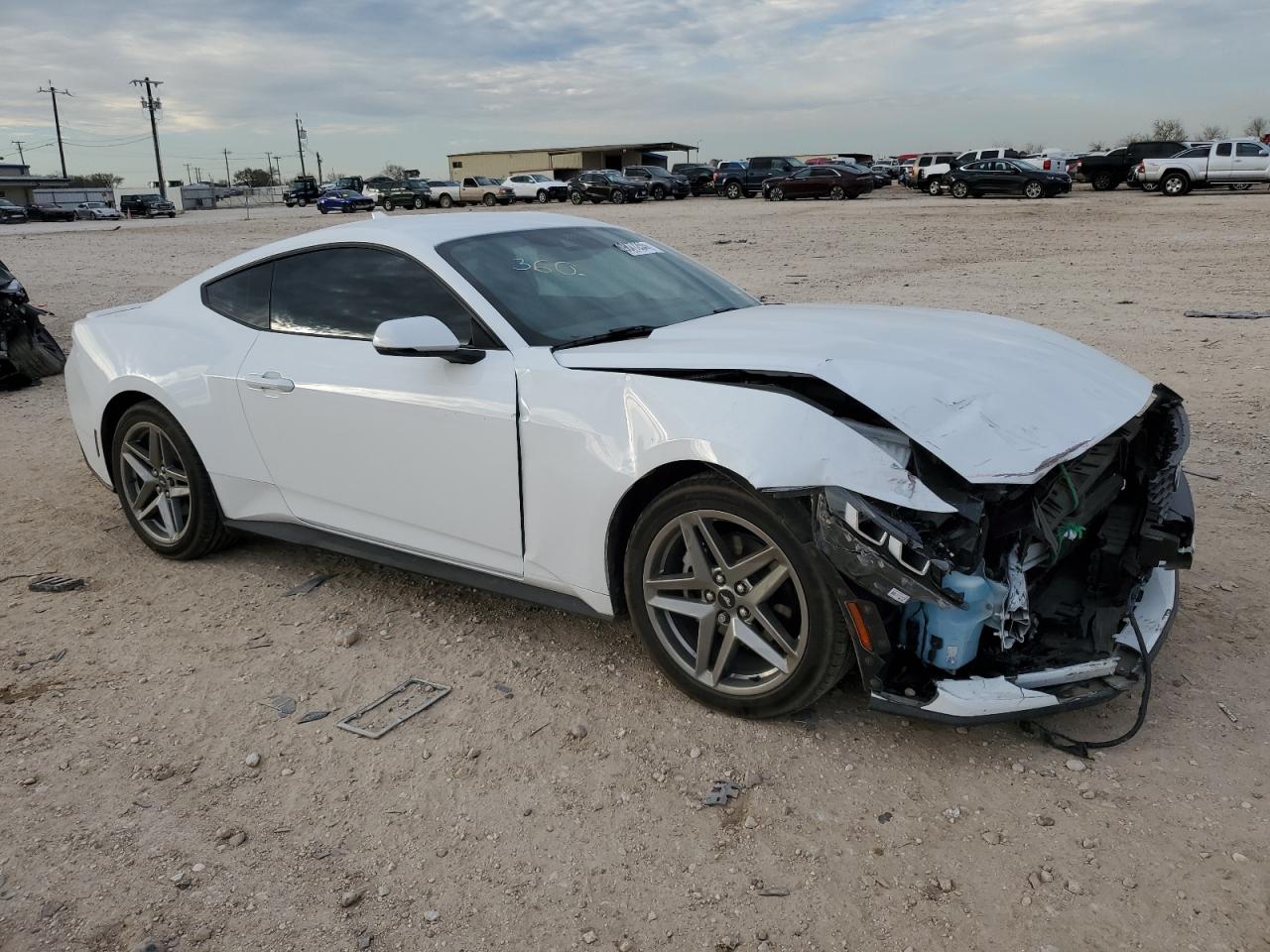 2024 FORD MUSTANG  VIN:1FA6P8TH3R5114909