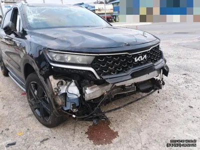 2022 Kia Sorento KNARM81GBNA119224 VIN:KNARM81GBNA119224