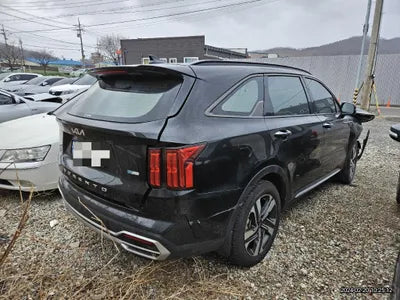 2022 Kia Sorento KNARL81GBNA122306 VIN:KNARL81GBNA122306