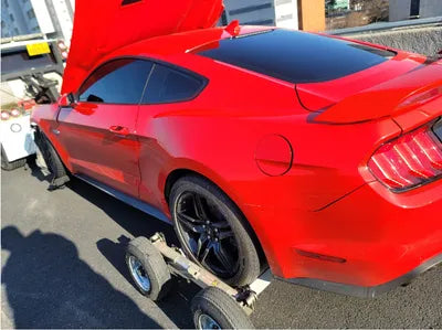 2020 Ford Mustang GT 1FA6P8CF0L5157397 VIN:1FA6P8CF0L5157397