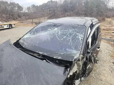 2017 Kia Carnival VIN: