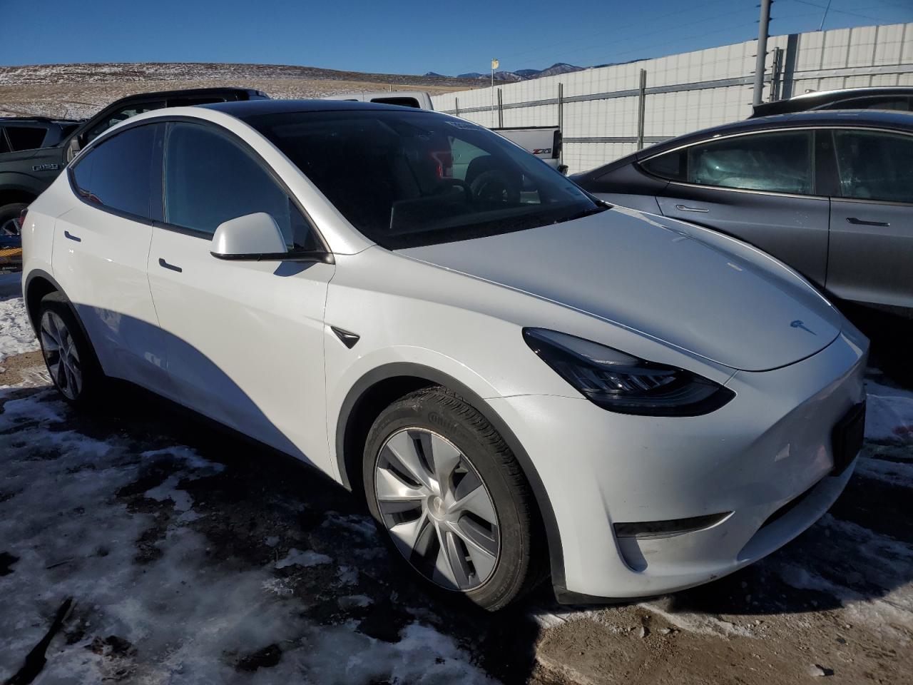2023 TESLA MODEL Y  VIN:7SAYGDEE4PA077217