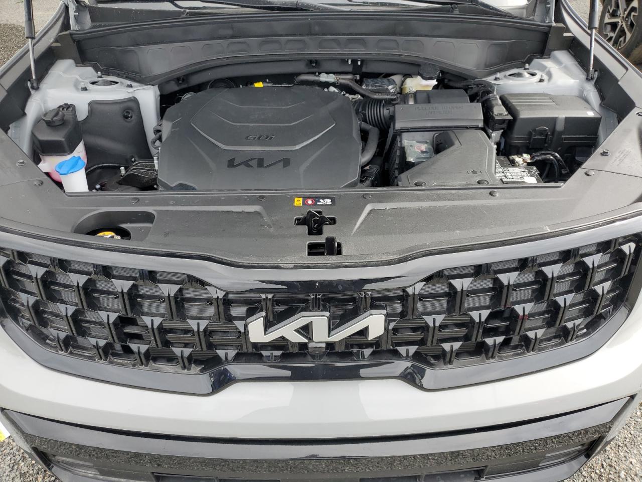 2024 KIA TELLURIDE SX VIN:5XYP5DGC0RG543458
