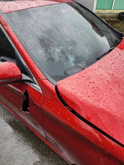 2019 Mercedes-Benz C 220 WDDWF1FB5KR491743 VIN:WDDWF1FB5KR491743