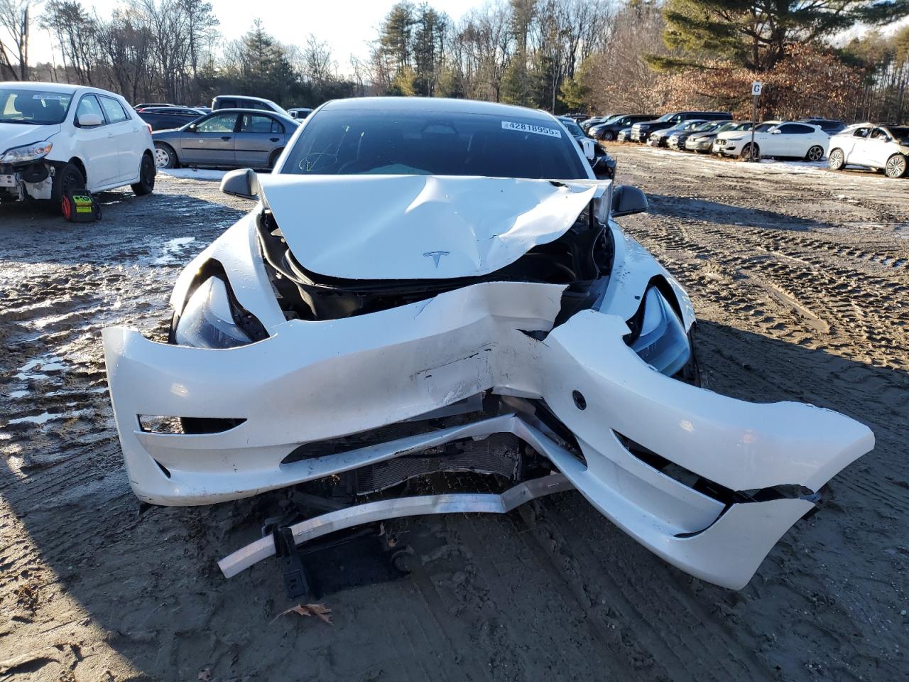 2023 TESLA MODEL 3  VIN:5YJ3E1EC8PF502757