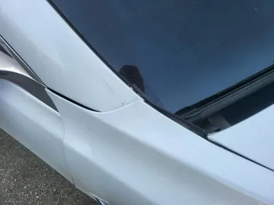 2019 Tesla Model 3 5YJ3E1EB5LF585839 VIN:5YJ3E1EB5LF585839