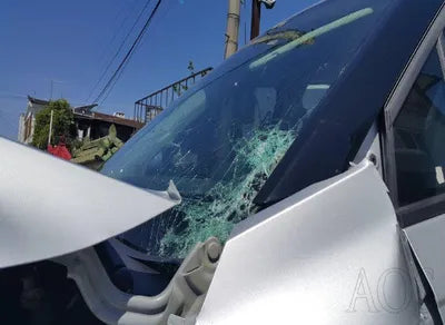 2021 Kia Carnival KNANB81BBMS068342 VIN:KNANB81BBMS068342