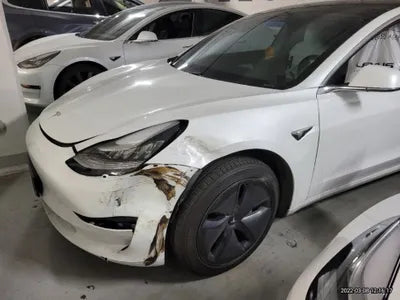 2020 Tesla Model 3 5YJ3E1EB8LF649307 VIN:5YJ3E1EB8LF649307