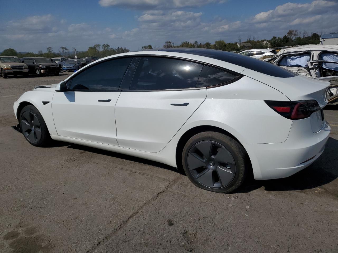2023 TESLA MODEL 3  VIN:5YJ3E1EA5PF454360