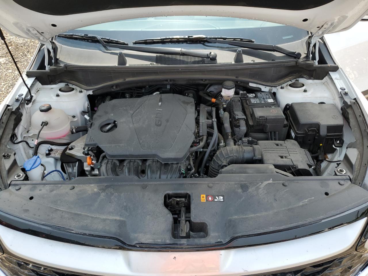 2023 KIA SPORTAGE EX VIN:5XYK33AF5PG044276