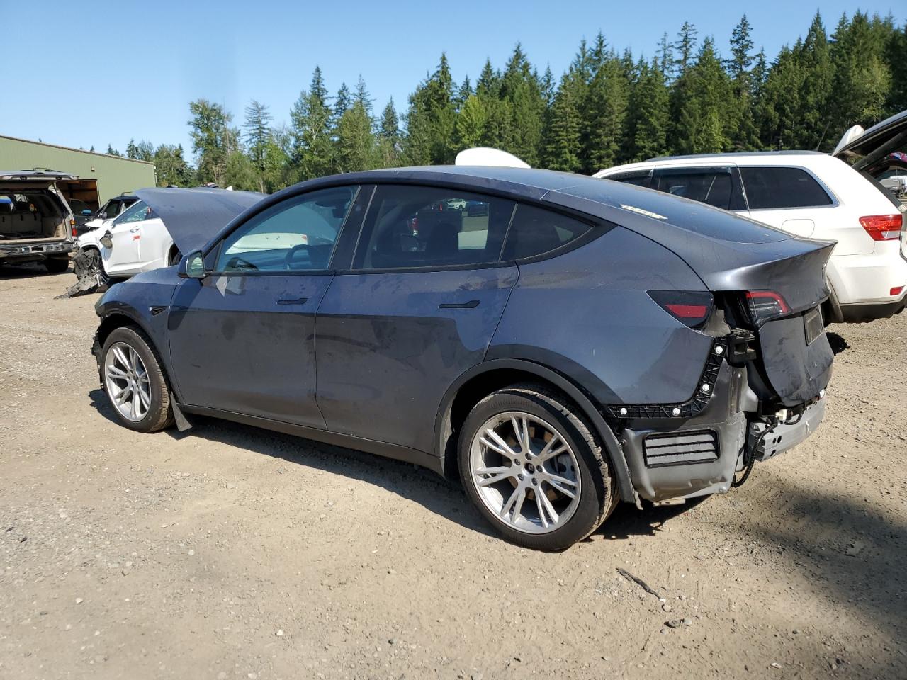 2023 TESLA MODEL Y  VIN:7SAYGDEE0PF966616