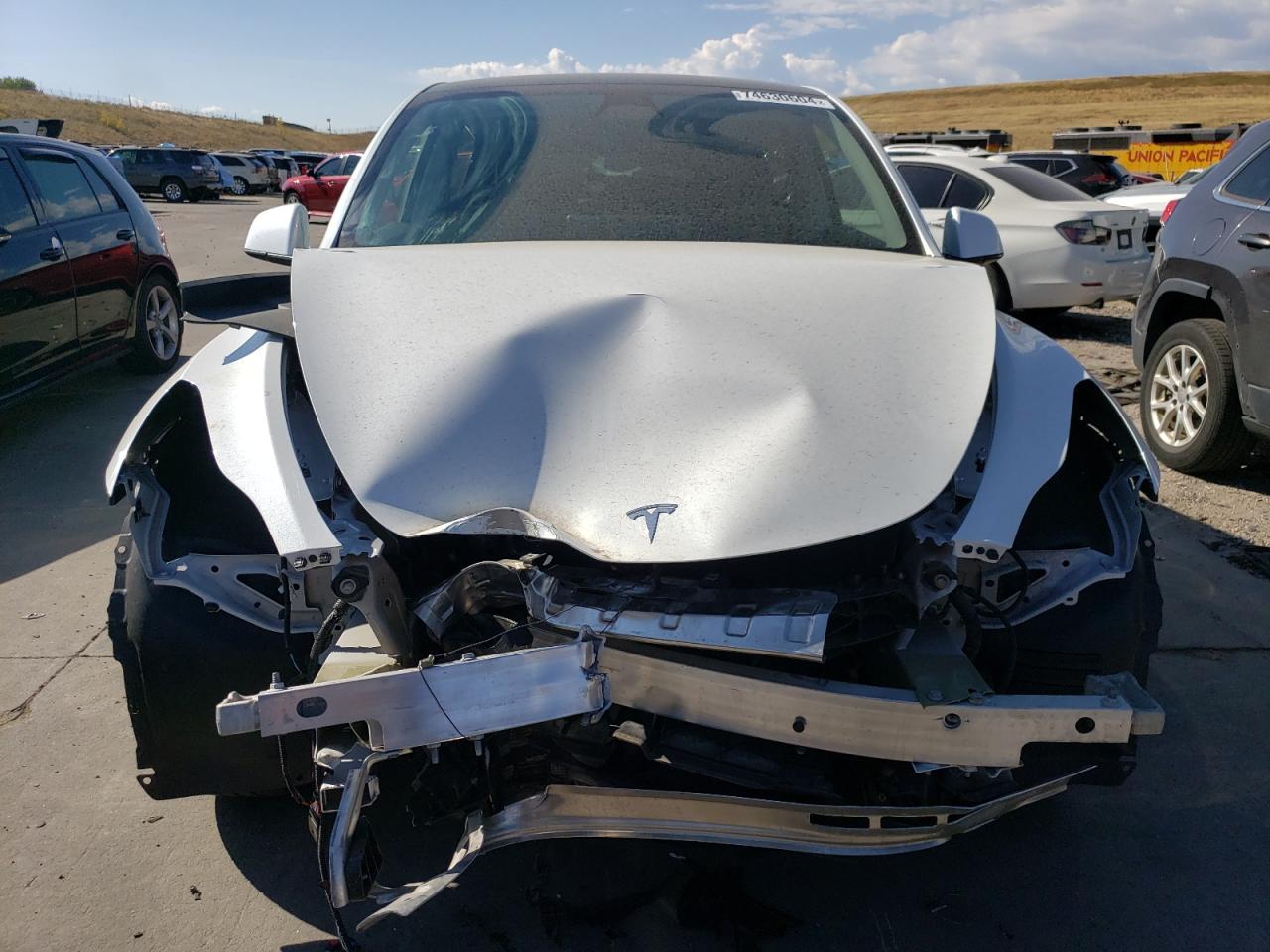 2023 TESLA MODEL Y  VIN:7SAYGDEE2PF703494