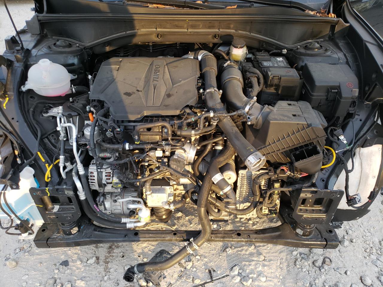 2023 KIA SORENTO SX VIN:5XYRKDLF7PG250008