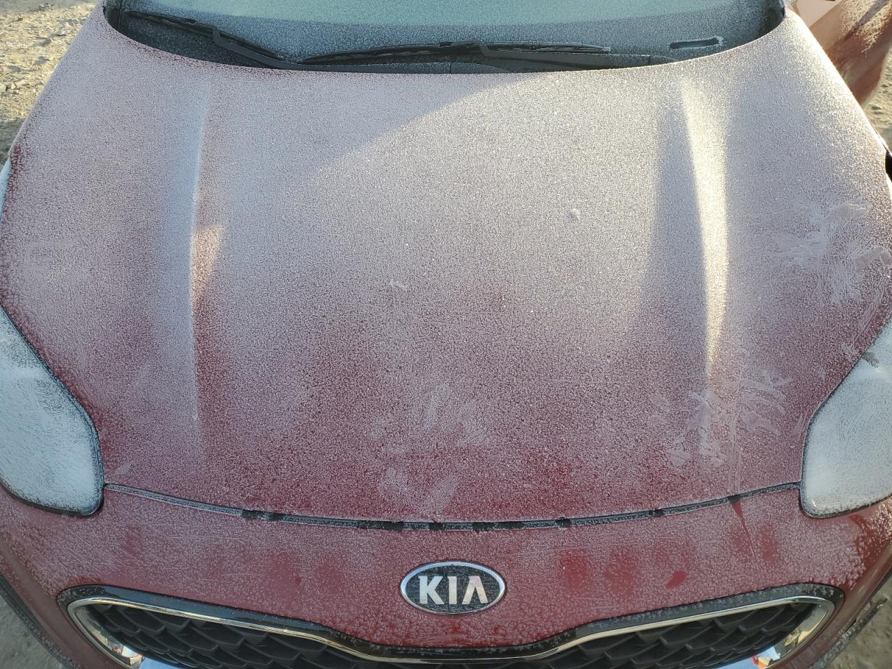 2022 KIA SPORTAGE LX VIN:KNDPMCAC4N7022093