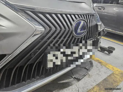 2019 Lexus ES 300 VIN: