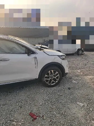 2019 Kia Sorento KNAPH81BBLA612488 VIN:KNAPH81BBLA612488