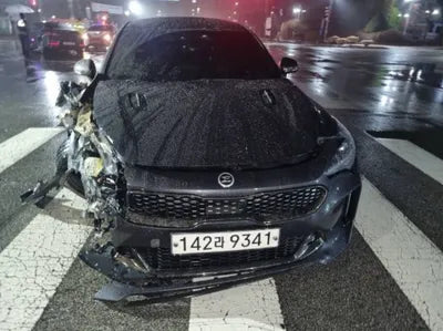 2018 Kia Stinger KNAE351ABJS016573 VIN:KNAE351ABJS016573