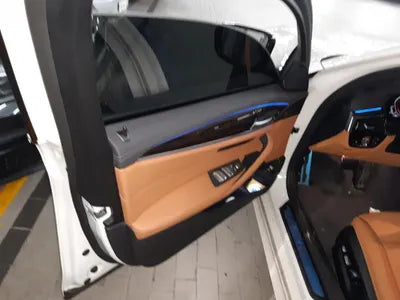 2021 BMW 520 WBA11BH02MWX18635 VIN:WBA11BH02MWX18635