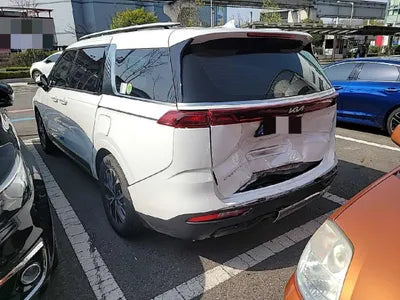 2022 Kia Carnival KNANE81BBNS166263 VIN:KNANE81BBNS166263