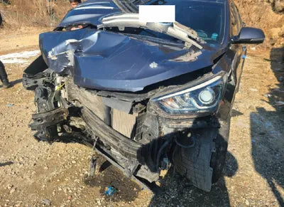 2018 Hyundai Santa FE KMHSW81UBJU788875 VIN:KMHSW81UBJU788875