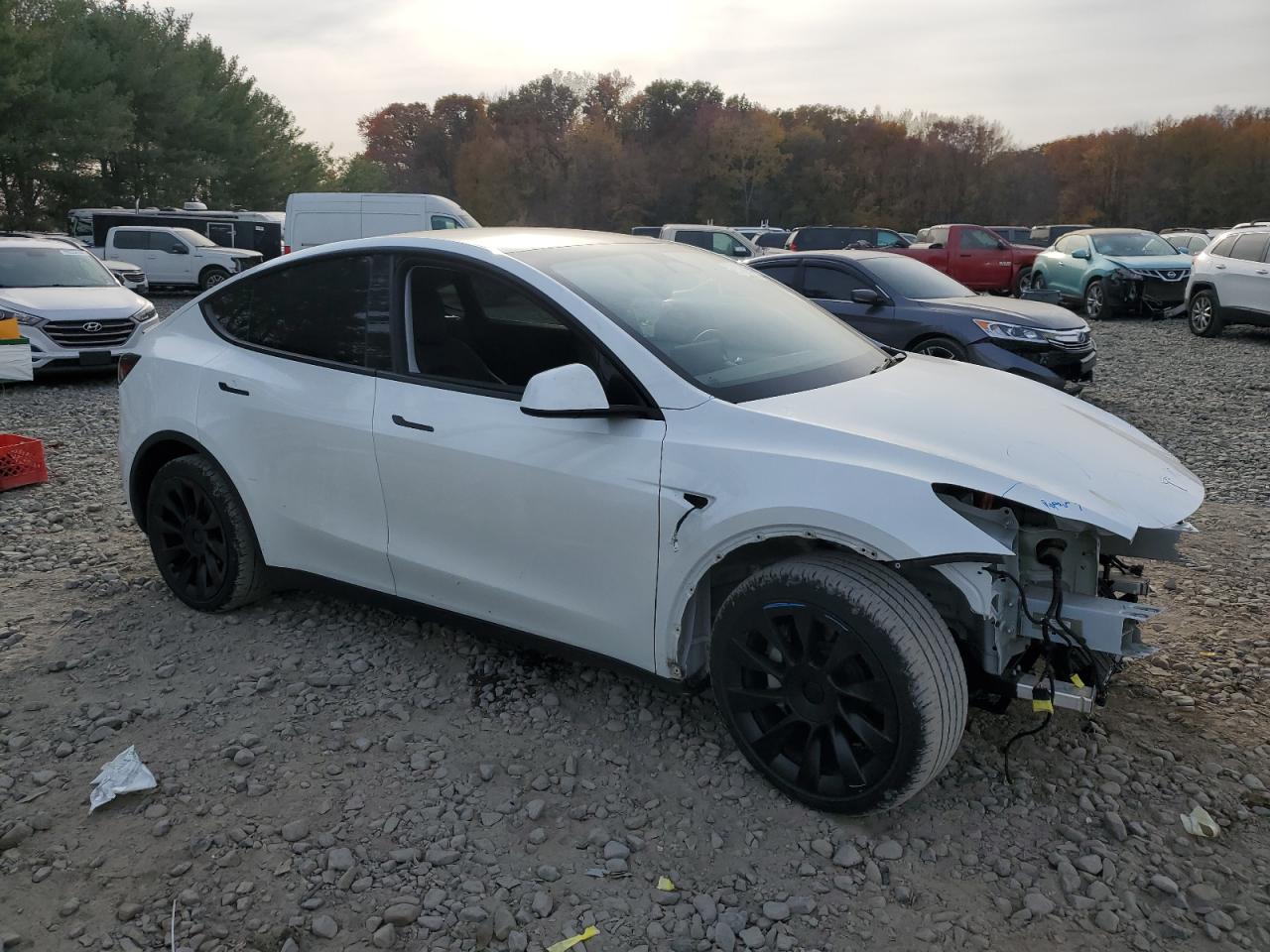 2022 TESLA MODEL Y  VIN:7SAYGDEE8NA010522