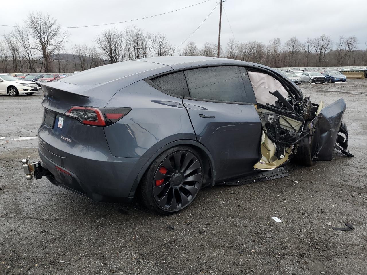 2023 TESLA MODEL Y  VIN:7SAYGDEFXPF698487