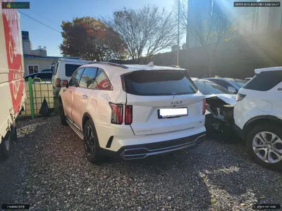 2023 Kia Sorento KNARJ81FHPA210454 VIN:KNARJ81FHPA210454