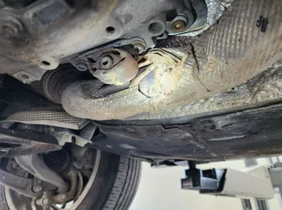 2018 Audi A6 WAUZZZ4G7JN110277 VIN:WAUZZZ4G7JN110277