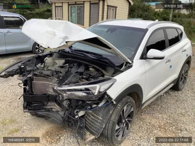 2019 Hyundai Tucson KMHJ5812HKU071968 VIN:KMHJ5812HKU071968