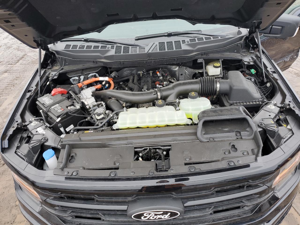 2024 FORD F150 XLT VIN:1FTFW3LD6RFA84263