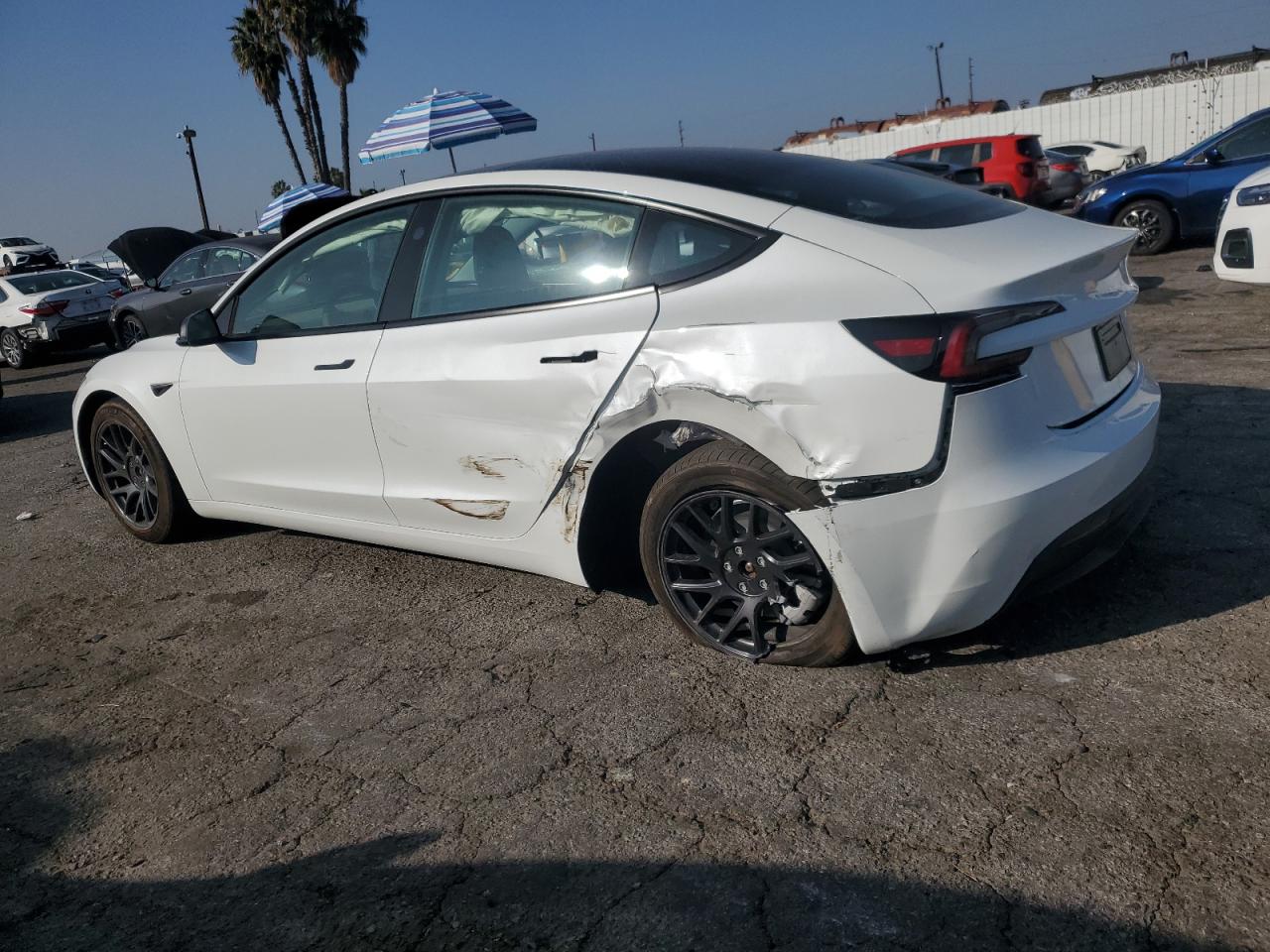 2024 TESLA MODEL 3  VIN:5YJ3E1EB5RF817218
