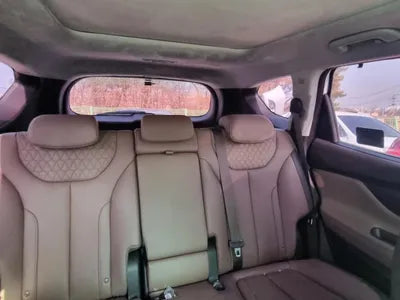 2019 Hyundai Santa FE KMHS381ADLU216986 VIN:KMHS381ADLU216986