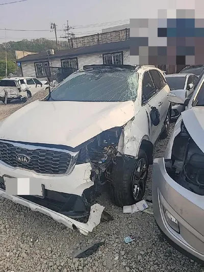 2019 Kia Sorento KNAPH81BBLA612488 VIN:KNAPH81BBLA612488