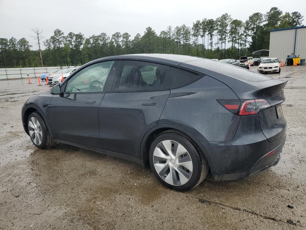 2024 TESLA MODEL Y  VIN:7SAYGDEE6RF984461
