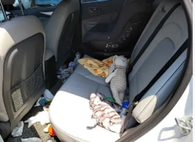 2019 Hyundai Kona KMHK381GFKU036894 VIN:KMHK381GFKU036894